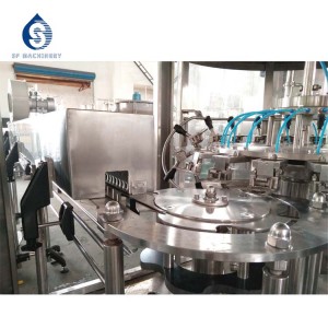 Ligne de production de boissons gazeuses en bouteille PET SF 2000BPH